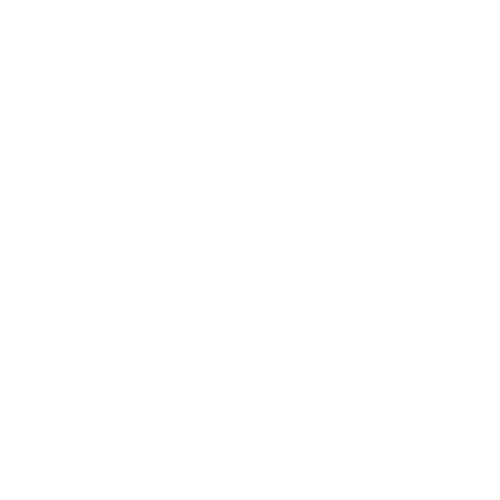 Paramount Collection Service